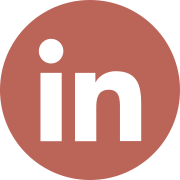 icona linkedin