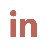 icona linkedin